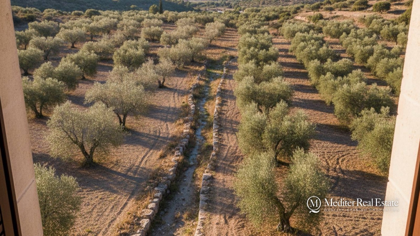 Buying a Property Straddling Two Municipalities on the Costa Almería: Boundary Disputes and Cadastral Checks in 2026