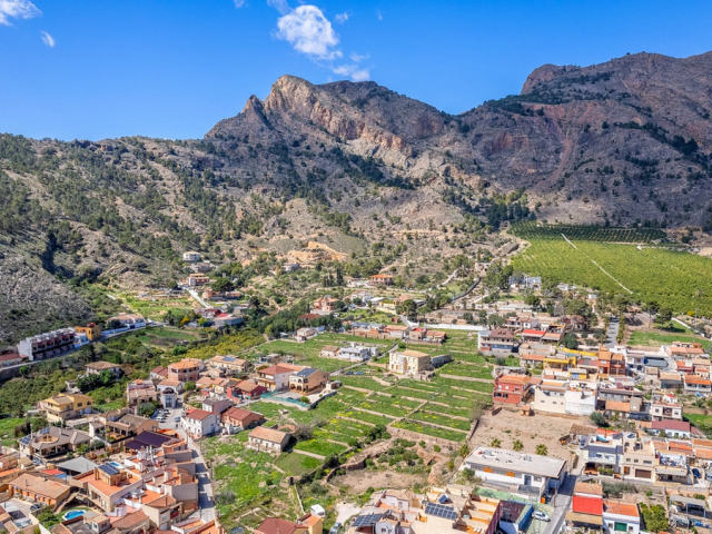 Lanthus till salu, Orihuela