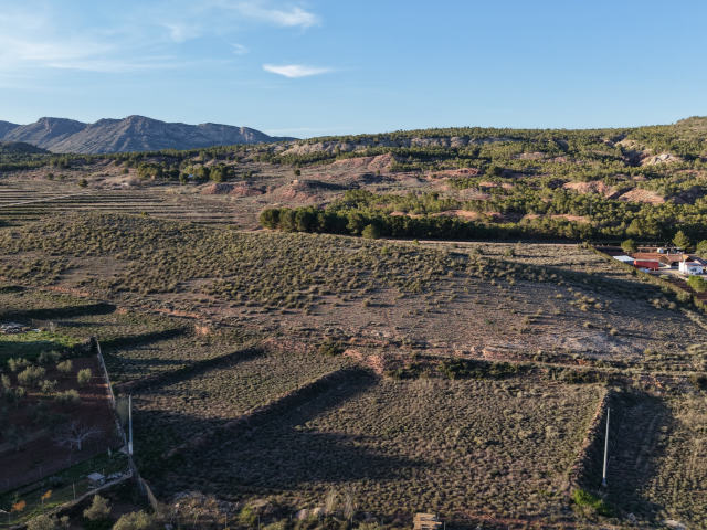 Plot for sale, Yecla