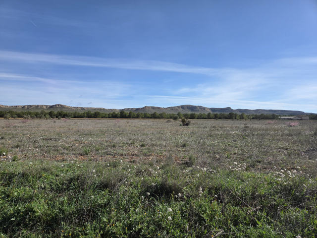 Plot for sale, Yecla
