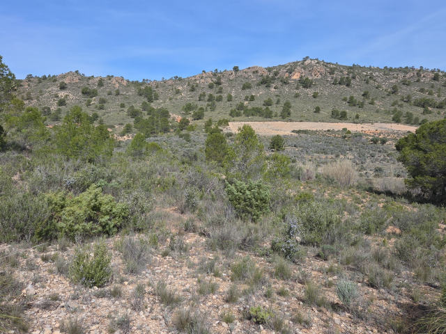 Plot for sale, Yecla
