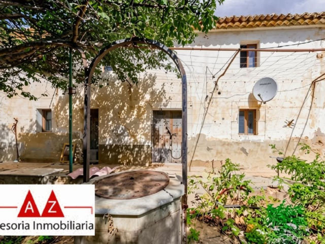 Lanthus till salu, Palma de Mallorca