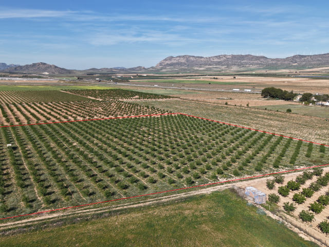 Plot for sale, Yecla