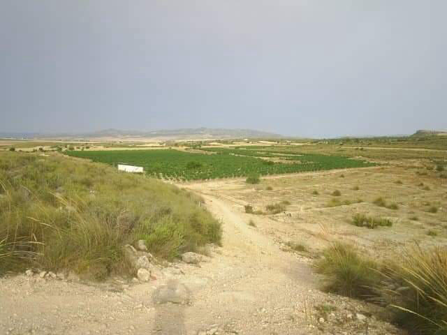 Plot for sale, Yecla