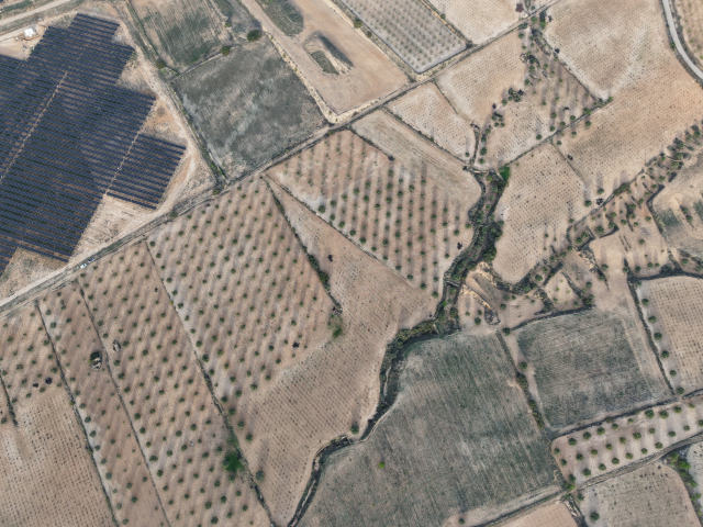 Plot for sale, Jumilla