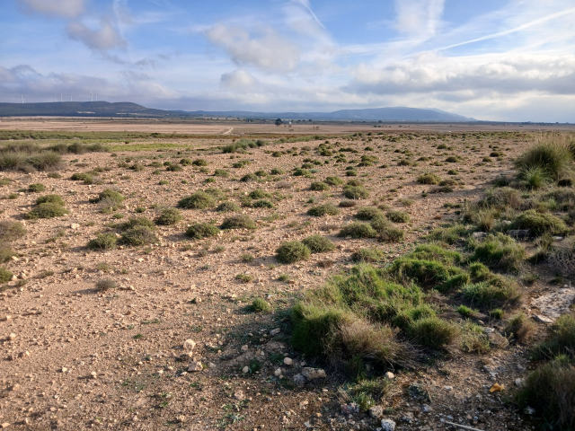 Plot for sale, Yecla