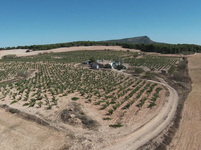 Country House for sale, Yecla