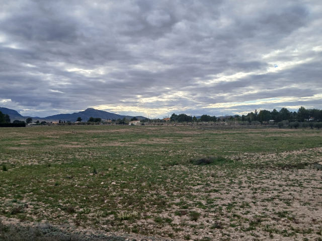 Plot for sale, Yecla