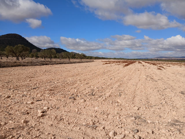 Plot for sale, Yecla